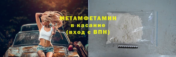 прущие грибы Вязьма